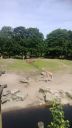 WP_20130618_004.jpg